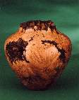 Maple Burl